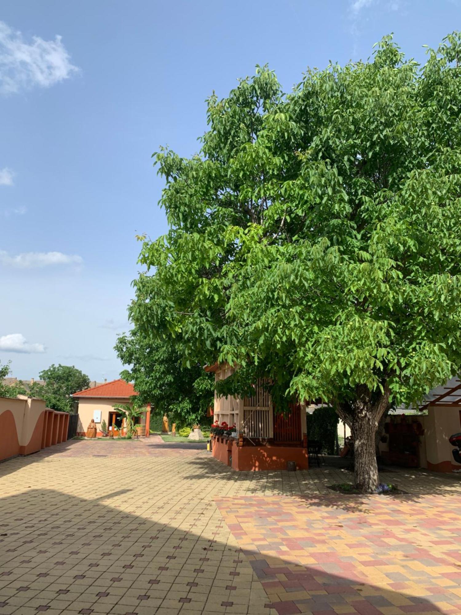 Szent István Wellness Panzió Makó Exterior foto